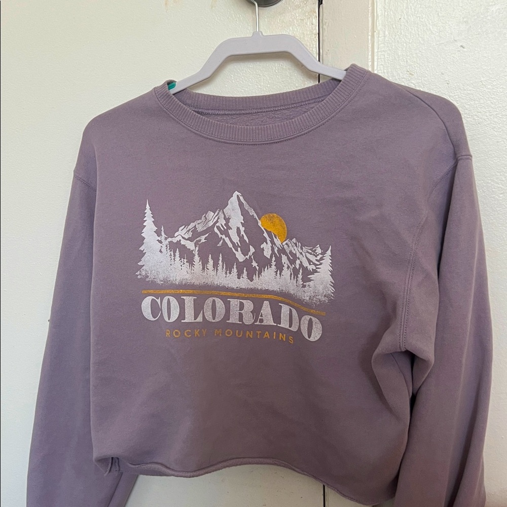 Hollister Lavender Colorado Hoodie